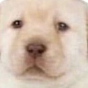 Meet your Posher, Ismael